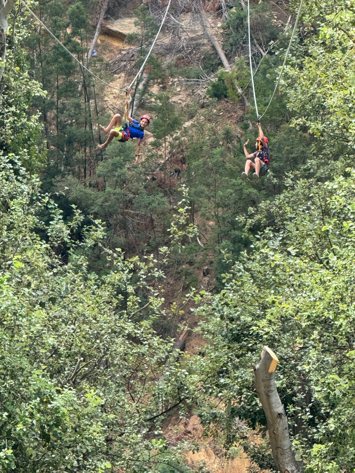 Photo 2026-01-22, 17 35 15